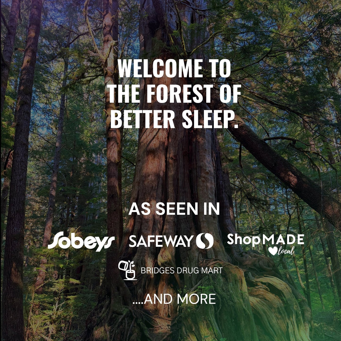 SERENE FOREST BEDTIME SPRAY