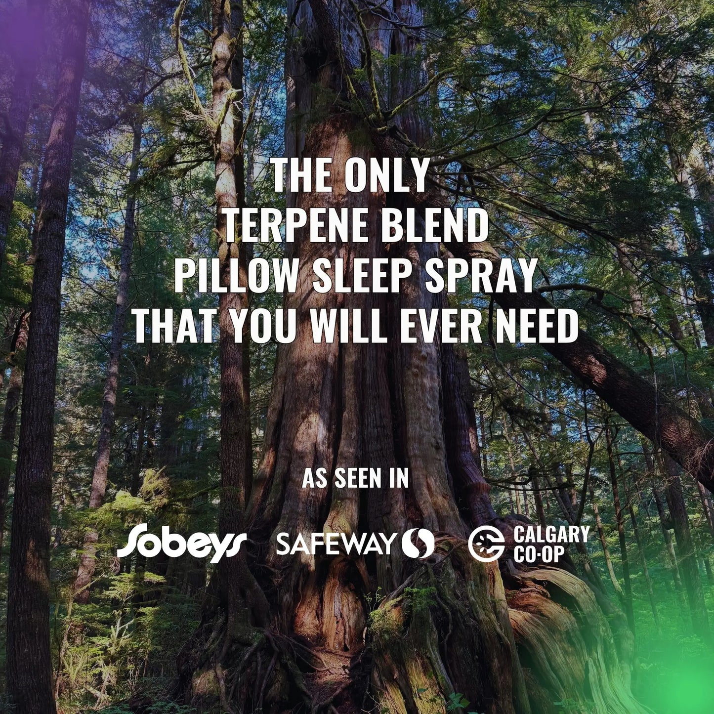 Promotional image of a KAVEBROS bedtime pillow sleep spray with tree in forest background and brand logos.