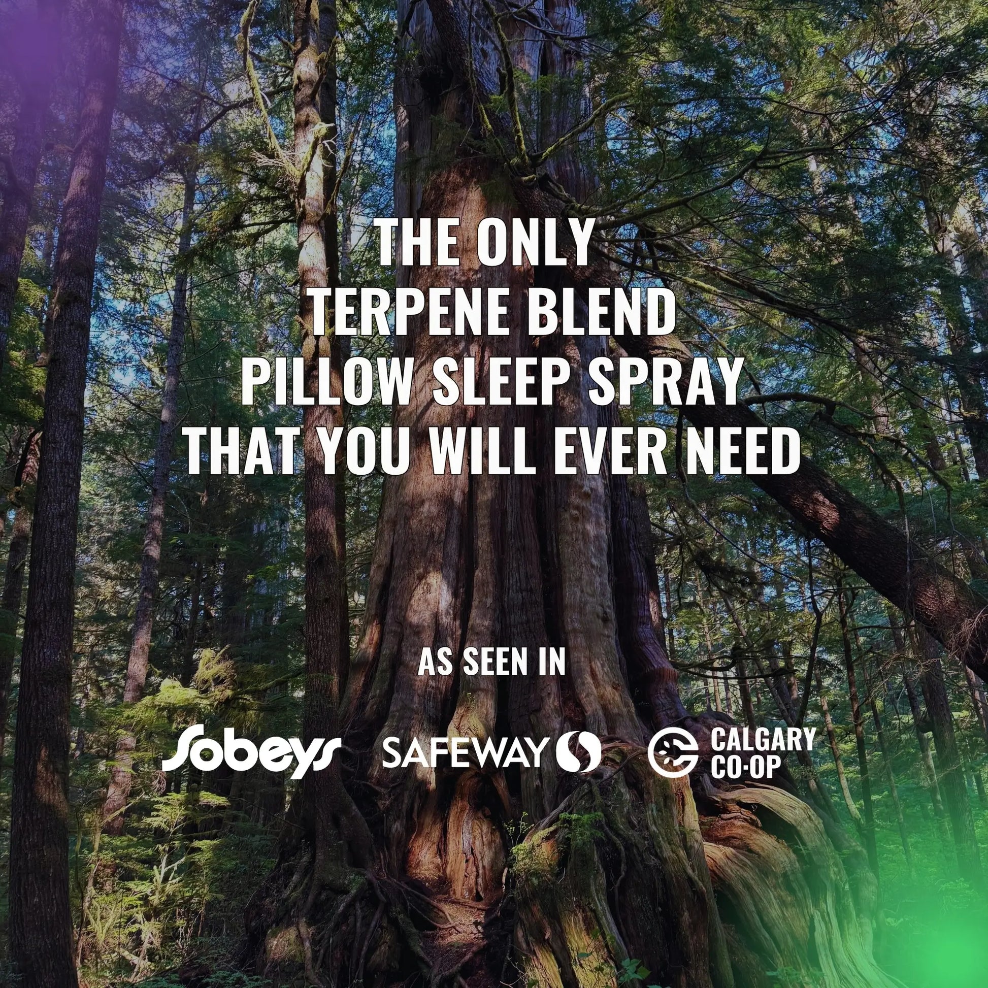 Promotional image of a KAVEBROS bedtime pillow sleep spray with tree in forest background and brand logos.